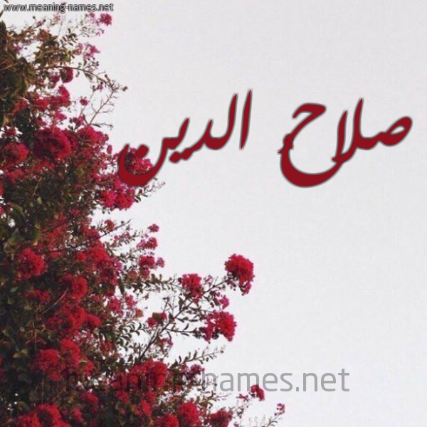 شكل 18 صوره الورد الأحمر للإسم بخط رقعة صورة اسم صلاحُ الدين SLAH-ALDIN